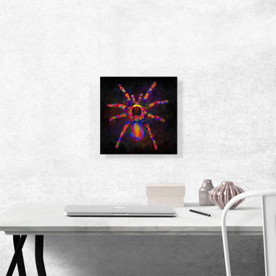 Tarantula Spider - impression sur toile tendue
