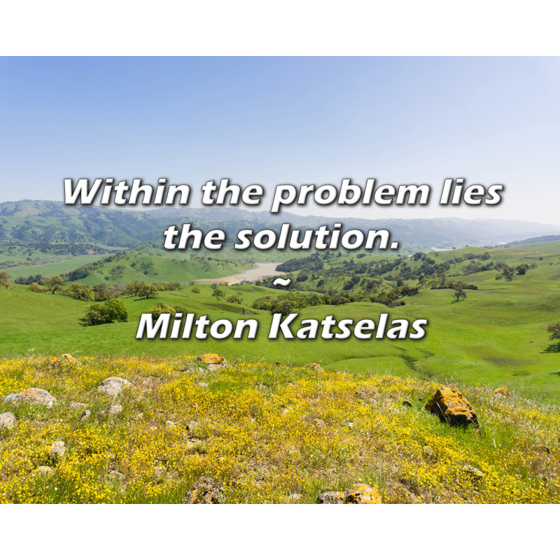 Milton Katselas Quote: Within the problem lies the solution., 20" H x 24" W