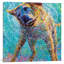 Iris Scott - reproduction sur toile-18757216-74386261-74386266