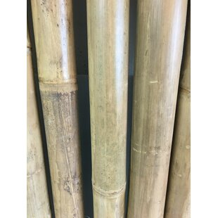 Solid Bamboo Poles For Sale, Tam Vong Bamboo