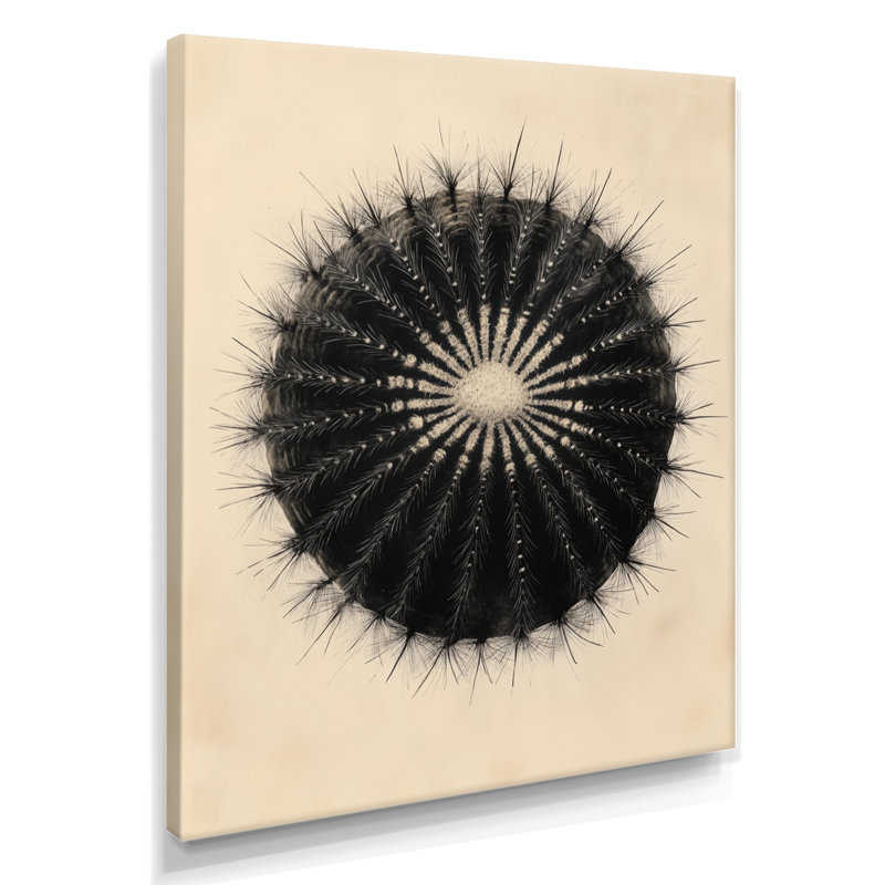 Décoration murale cactus Black Barrel Bloom, H 44 po x l 34 po, Toile tendue