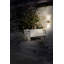 Alayne LED Wall Bracket-1285724989