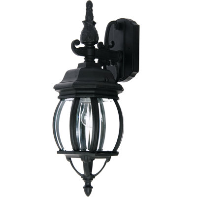 Lanterne murale d'extérieur 1 lumière Aquilar