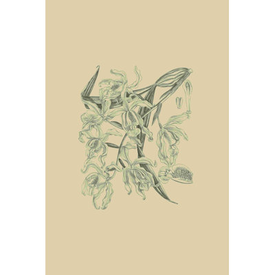 Orchidée sur kaki II