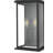 Elissa Hanover 8 inch Outdoor Wall Sconce in Black
