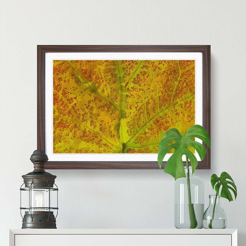 Veins of the Leaf in Abstract - Picture Frame Graphic Art Print, Walnut, 60cm H x 91cm W x 2cm D