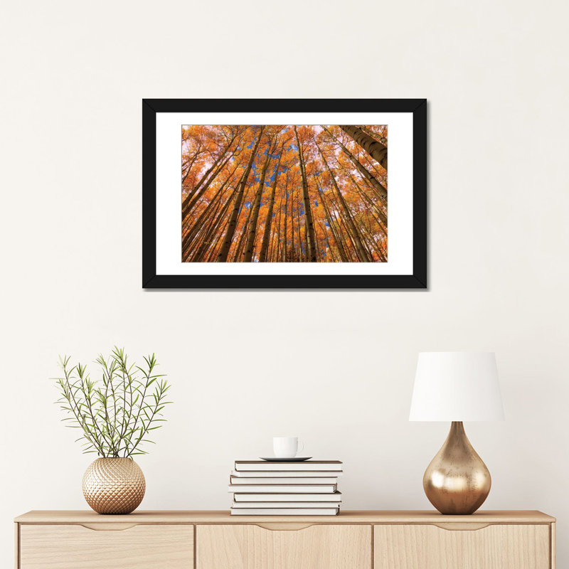 «Orange Grove» par Bill Sherrell, impression sur toile tendue, H 16 po x l 24 po x P 1 po, Papier avec cadre noir, Blanc