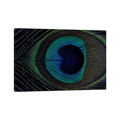 Peacock Feather I 1 Piece Wrapped Canvas Painting