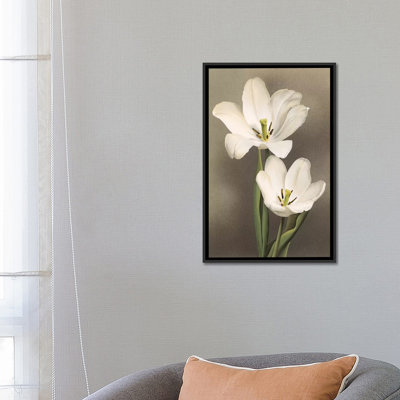 « tulipani », reproduction d’art sur toile tendue