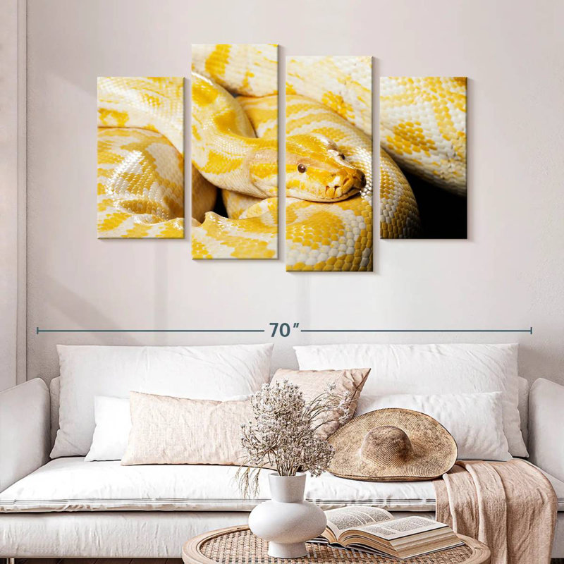 Brampt Albino Burmese Python, 32" H x 52" W