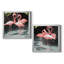 Flamingo Inlet I - ensemble de 2 reproductions d'art graphique-2095549926-2095549920-2095549916