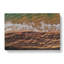 The Earth Tones - Wrapped Canvas Print-55338986