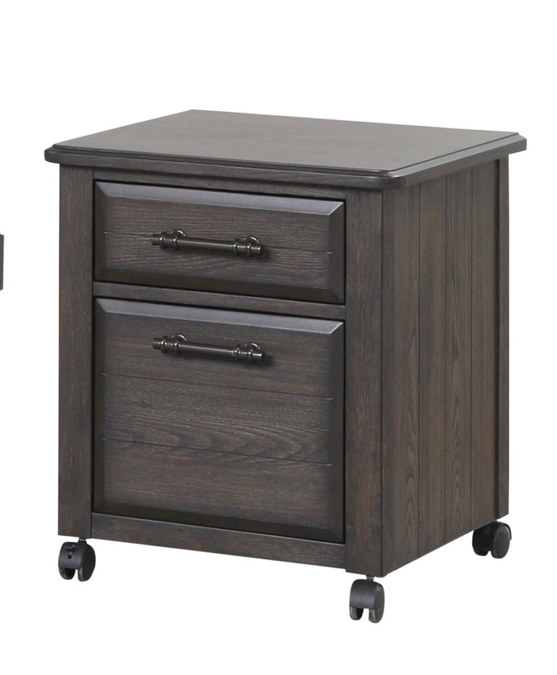 Winston Porter Nashya 2-Drawer Mobile Vertical Filing Cabinet | Wayfair