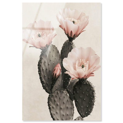 «Prickly Petals I», reproduction d'art acrylique encadrée par Notoriart