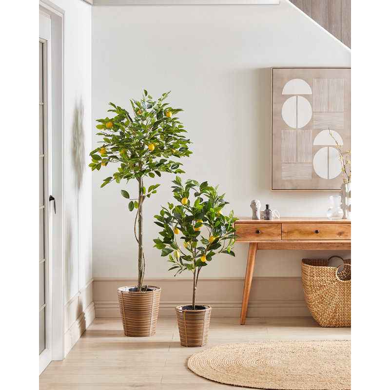 Faux Lemon Tree in Planter, 105cm H x 45cm W x 45cm D