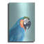  «Exotic Bird On Blue 1» par Annie Warren, art mural en métal, 16 po x 24 po-1085189623