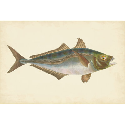 Donovan poisson antique III