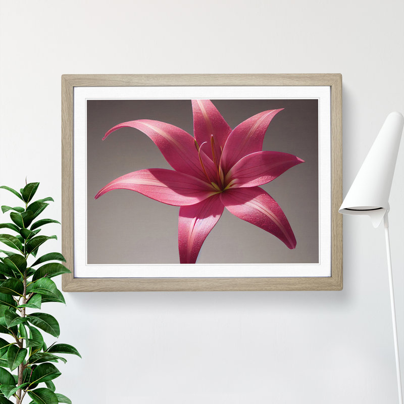 Serene Lily Flower - Framed Print, 46cm H x 64cm W x 2cm D, Oak