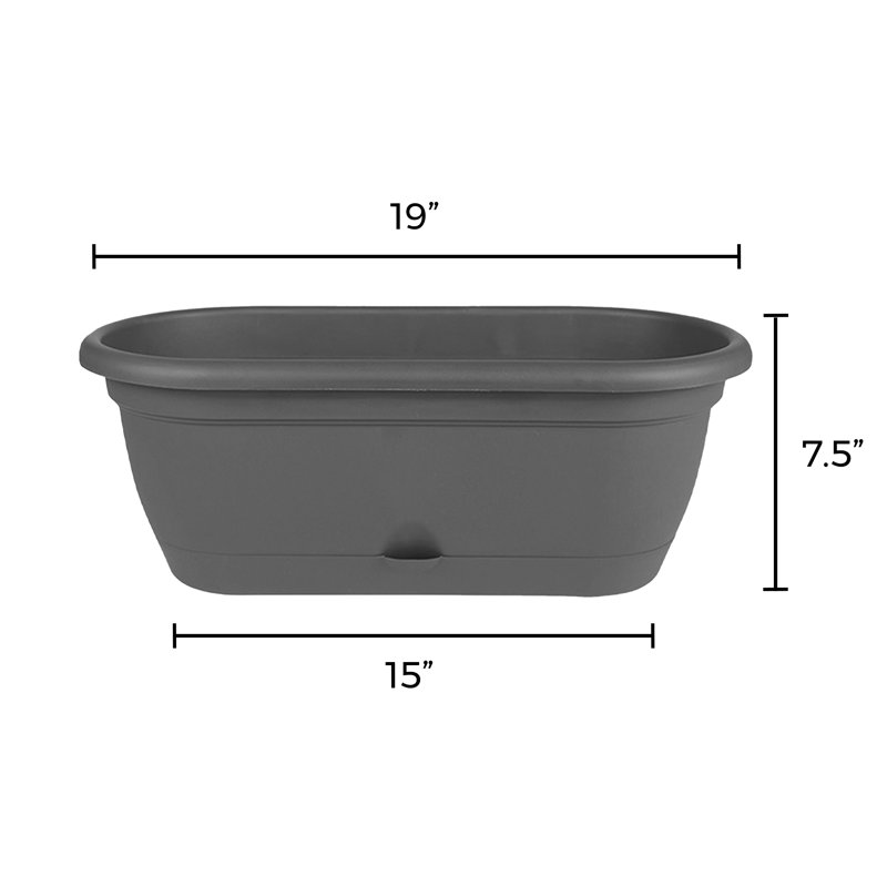 Lucca Self-Watering Plastic Indoor/Outdoor Oval Window Box Planter with Watering Basin, Charcoal