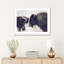 Photographie buffalo-43719327-43719330