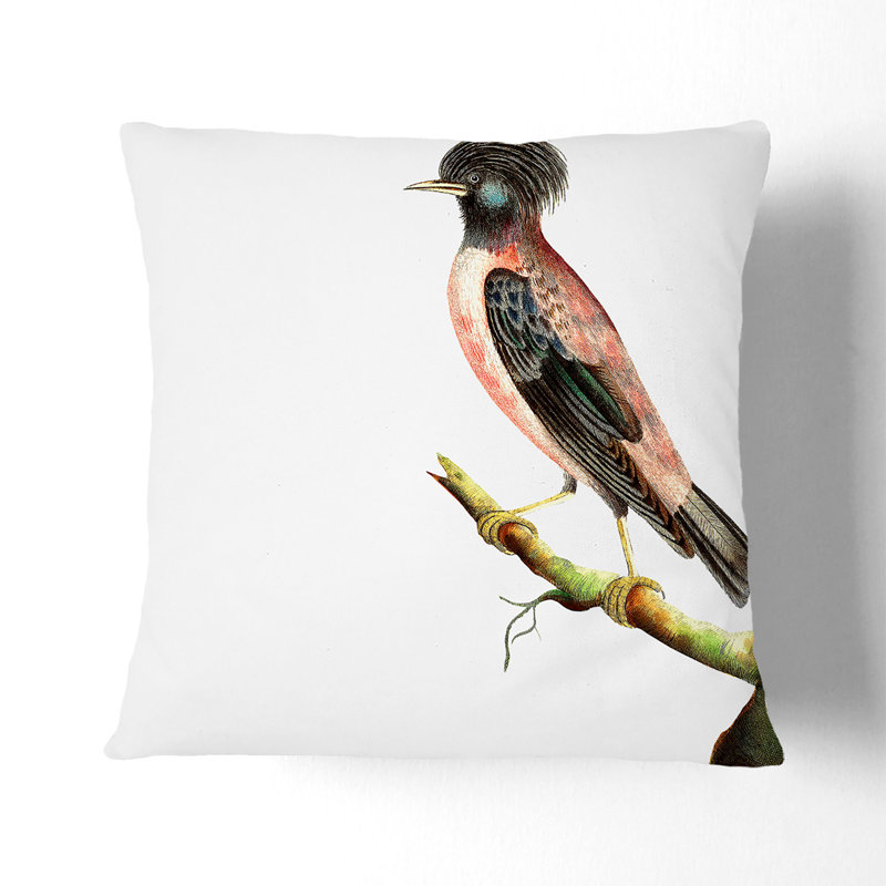 Square Cushion, 40cm H x 40cm W x 15cm D