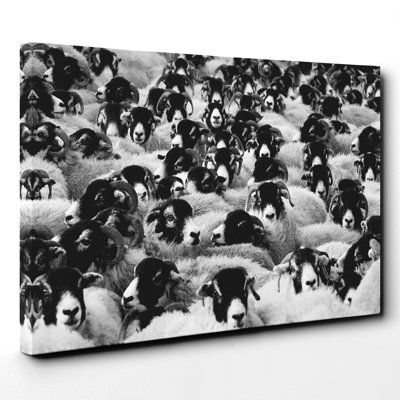 Wrapped Canvas Print