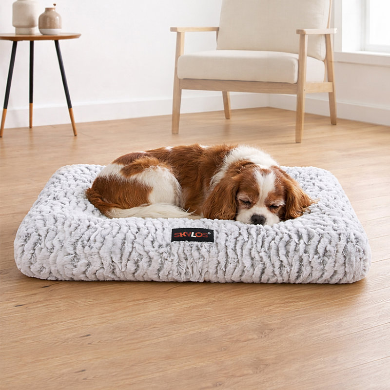Polyester Pet Bed, 9cm H x 75cm W x 50cm D