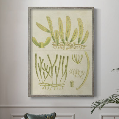 Reproduction encadrée de V Vintage Sea Grass - bois massif