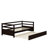 Daizie Pendlebury Daybed with Trundle-1791039776
