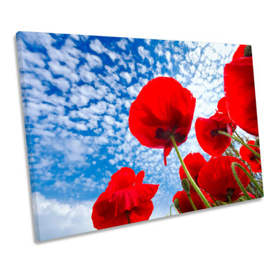 Poppies Floral Sky - Wrapped Canvas Art Prints