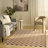 Capodilupo Rust Modern Indoor Rug-458670518
