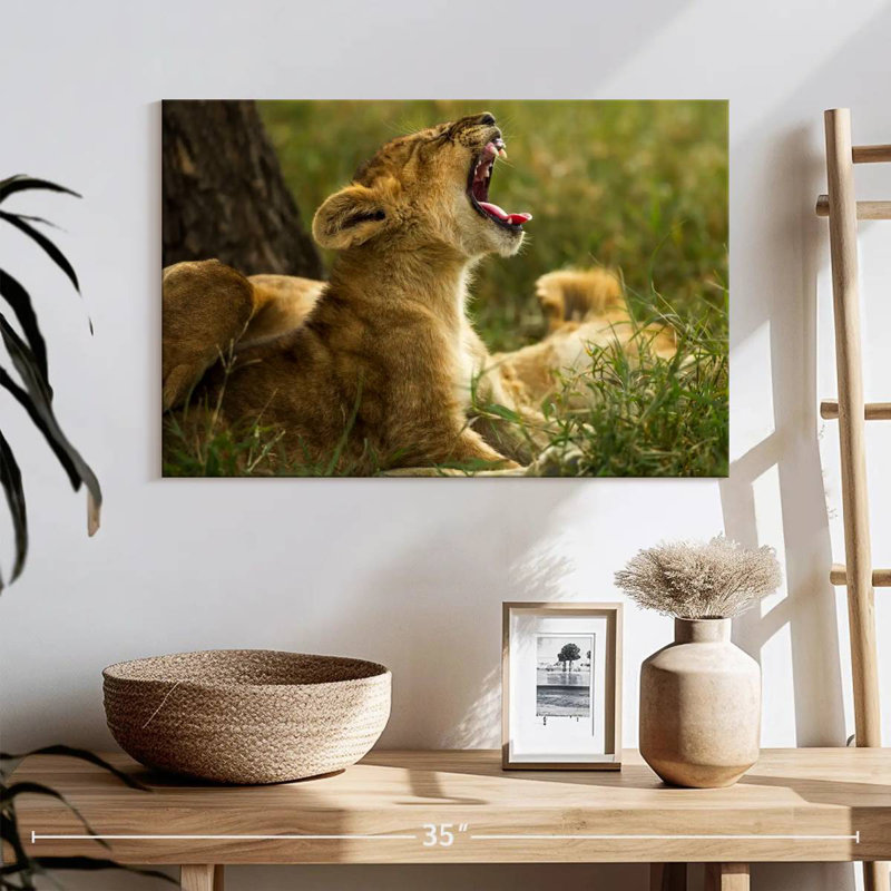 Crowle Sleepy Lion Cub, H 16 po x l 24 po