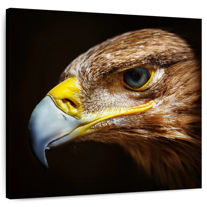 Crowle Eagle Face, 33" H x 33" W