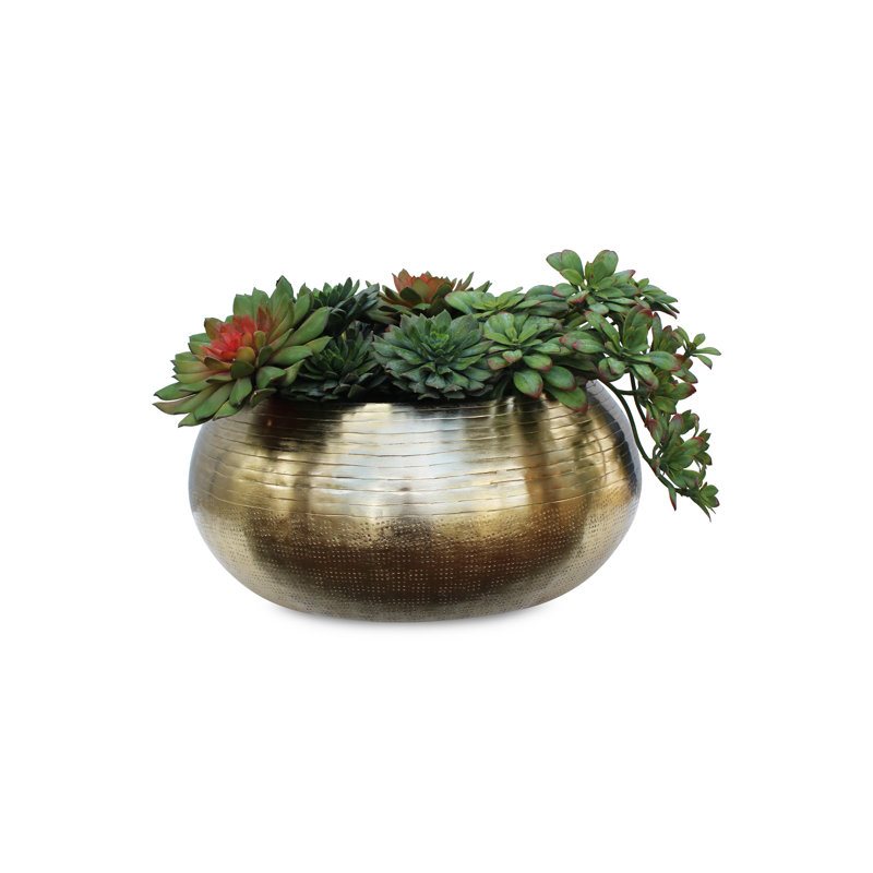 Plante succulent artificielle 3" en vase décoratif, H 9 po x l 16 po x P 16 po