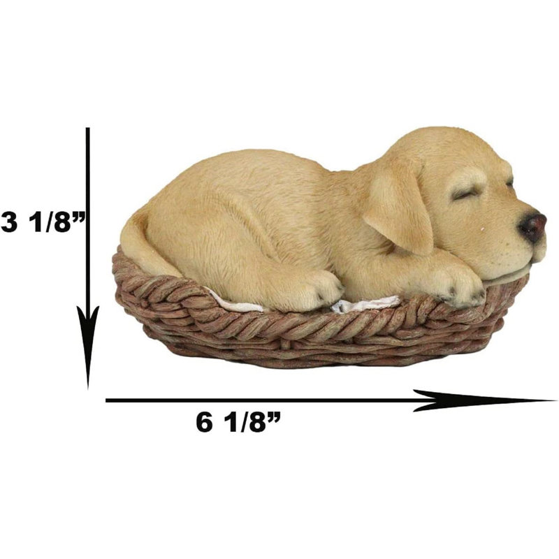 Azaleah Labrador réaliste dormant dans un panier en osier