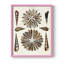 Spiral Shell Formation III, reproduction encadrée - bois massif-1847420512-1847420515