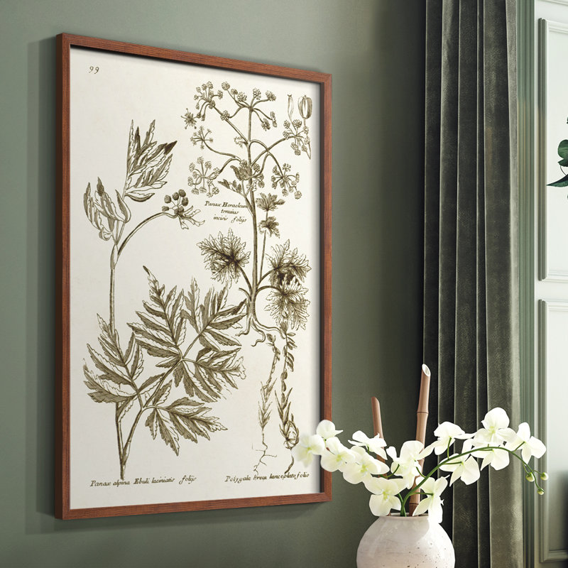 «Sepia Botanical Journal III», reproduction encadrée - bois massif, Brun, H 10 po x l 8 po