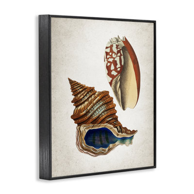 «Vintage Seashell Duo», estampe numérique, conception de Kim Allen