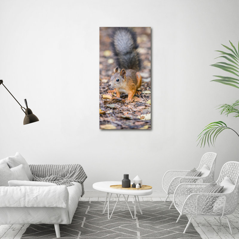 Squirrel In The Forest - Wrapped Canvas Print