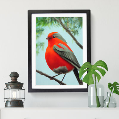Maastricht Robin Bird Portrait Vol.2 - Single Picture Frame Print
