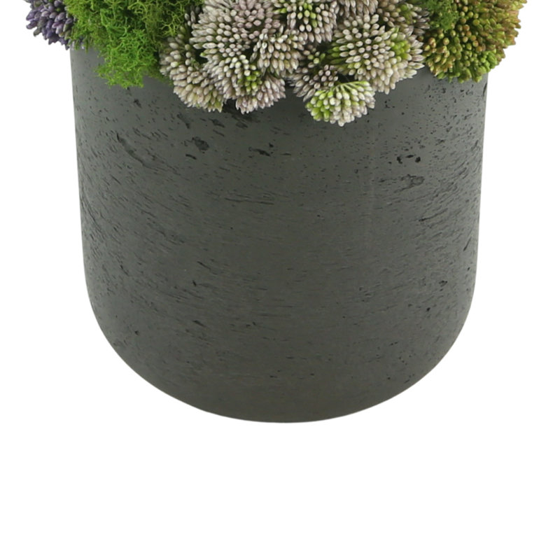 Faux Succulent Plant in Fiberstone Planter, 11" H x 9" W x 9" D, Round, Black