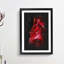 Petals of a Red Rose - Picture Frame Graphic Art Print-56857077-56857078