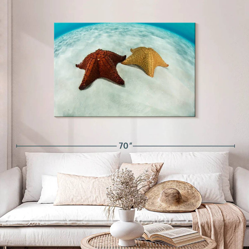 Brampt Caribbean Starfish, 30" H x 45" W