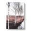Row Of Birch Trees - Wrapped Canvas Painting-56638032