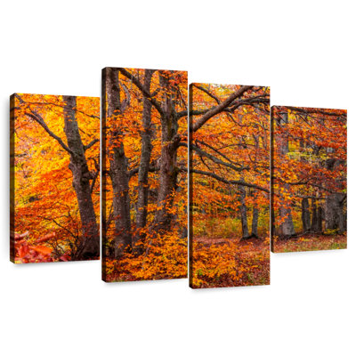 Les bois d'Alvord en automne