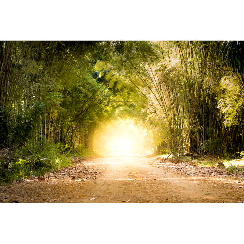 Bamboo Forest - Photographie sur toile tendue, L 48 po x H 32 po