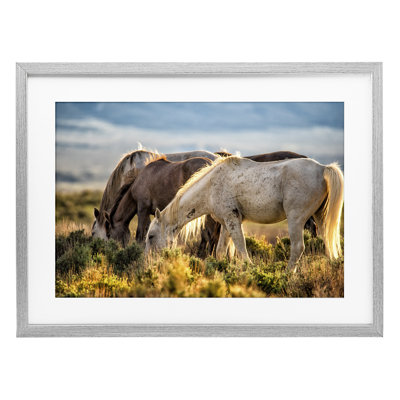 «Equine Evening Graze», reproduction d'impression sous verre encadrée, par Tim West