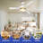 Graceanne 60'' Ceiling Fan with LED Lights-772351908