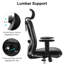  Chaise de bureau ergonomique en filet avec support lombaire réglable et accoudoirs rembourrés pour 300 lb-909741466