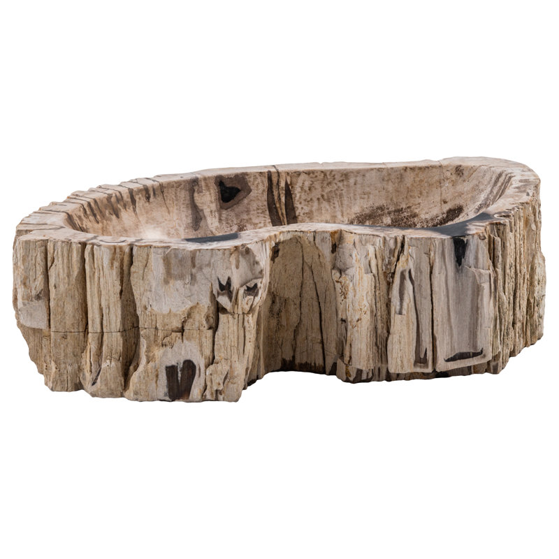 Belfry Bathroom Brianna 420mm L x 400mm W Brown Petrified Wood Specialty Sink